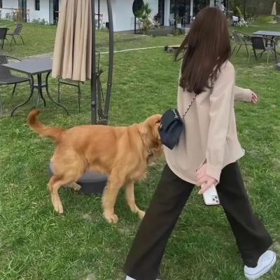 痛在何方