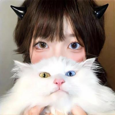 瞒天过海：13王牌